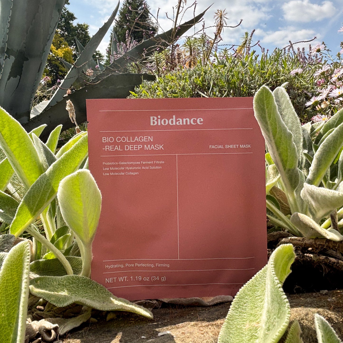 Biodance Bio‑Collagen Real Deep Mask