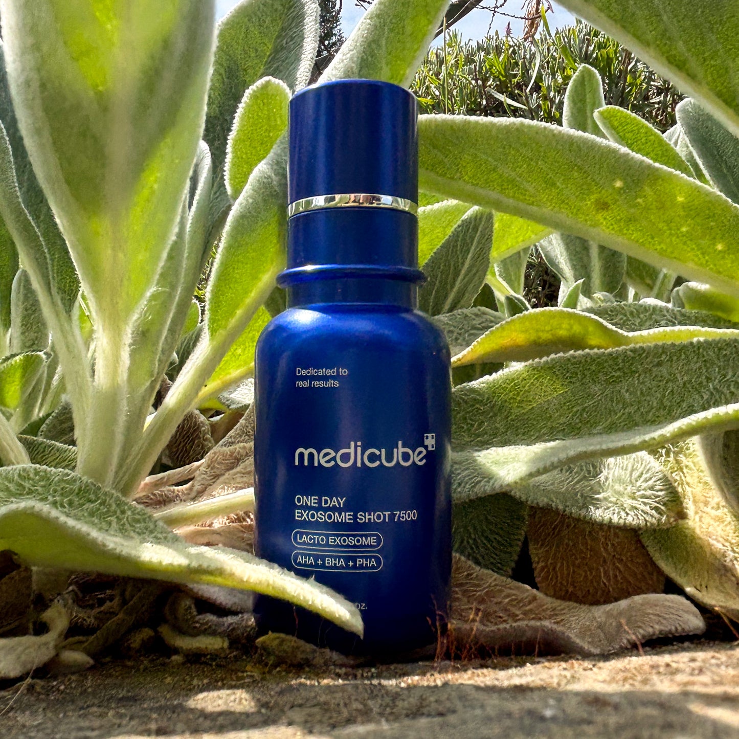 Medicube: One Day Exosome Shot