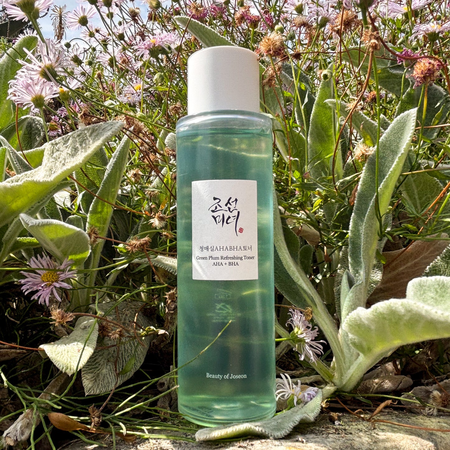 Beauty of Joseon: Green Plum Refreshing Toner